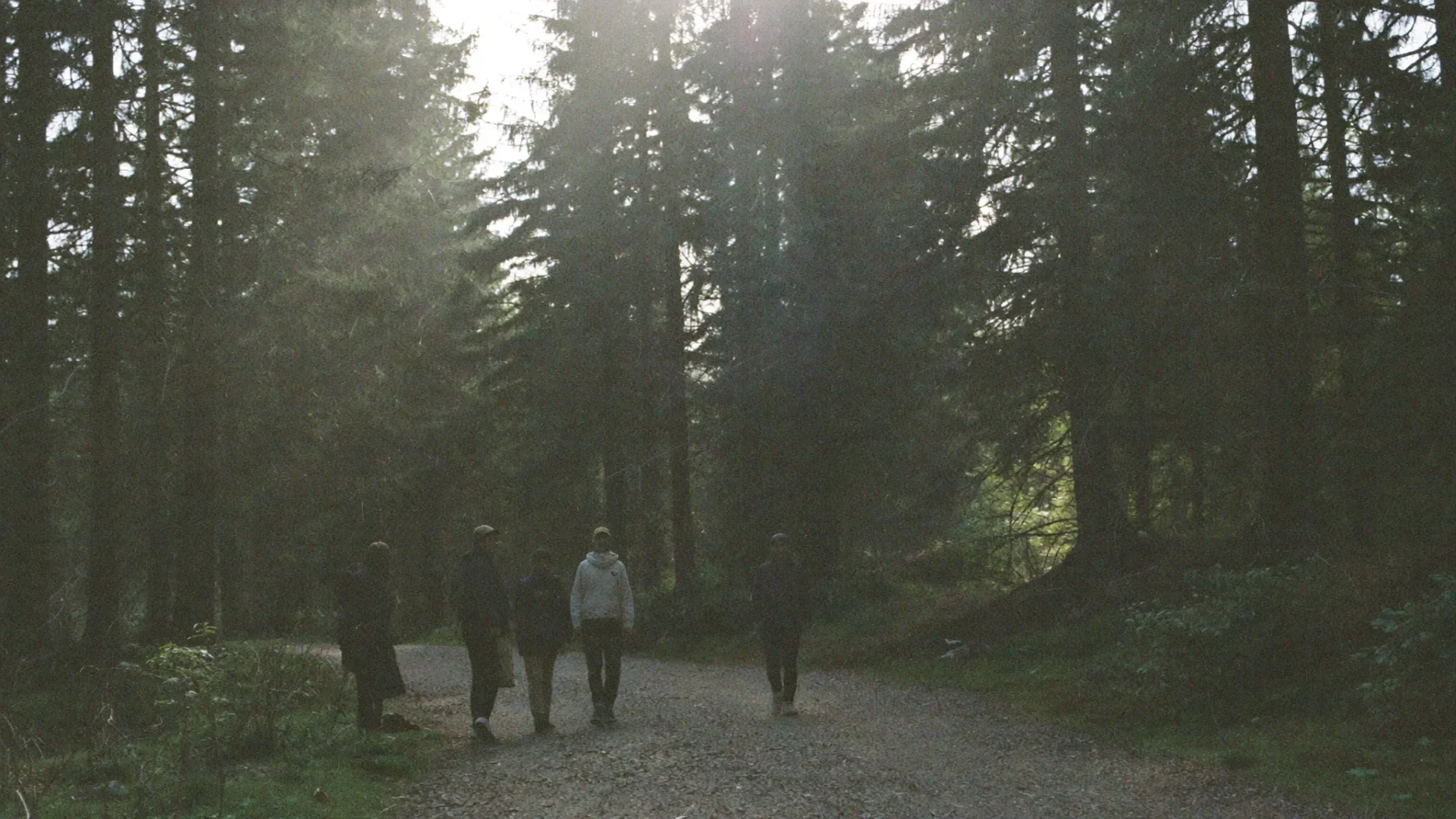 Några personer promenerar på en skogsväg